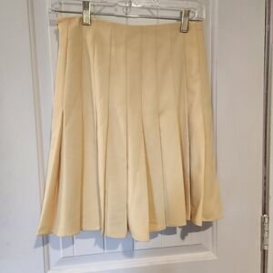 Zara Box Pleated Mini Skirt